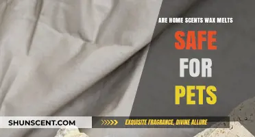 Pet-Safe Home Scents: Are Wax Melts a Safe Choice?