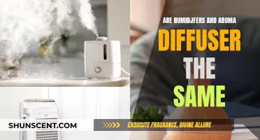 Humidifiers vs Aroma Diffusers: What's the Difference?