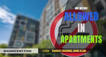 Incense Use in Apartments: What You Need to Know