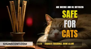 Incense, Oil Diffusers, and Cats: What's Safe?