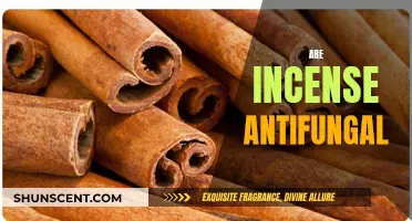 Incense: Natural Antifungal Solution for Your Home