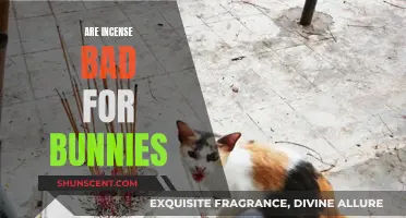 Incense and Bunnies: A Toxic Relationship?