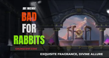 Incense and Rabbits: A Toxic Mix?