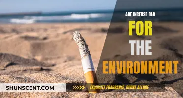 Incense: Environmental Impact and Health Risks Explained