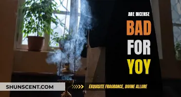 Incense: Are They a Health Hazard or Safe to Use?
