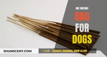 Incense Bags: Safe or Harmful for Dogs?