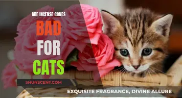 Incense Cones and Cats: A Potentially Toxic Mix