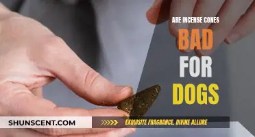 Incense Cones: Are They Safe for Dogs?