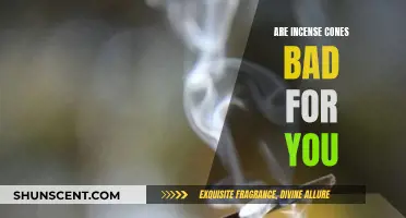 Incense Cones: Are They Harmful to Your Health?