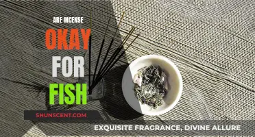 Incense and Fish: Safe or Not?