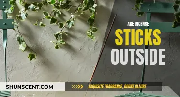 Incense Sticks: Outdoor Fragrance or Indoor Delight?