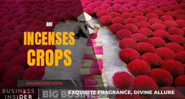 Incense: Crop or Craft?