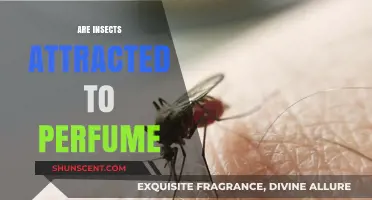 Perfumes: Insect Attractants or Repellents?