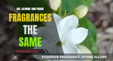 Exploring Jazmine and Pikake Fragrances: Are They Similar?