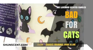 Lavender Scented Candles and Cats: Potential Risks Explained