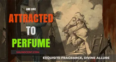 Lice and Perfume: What's the Connection?
