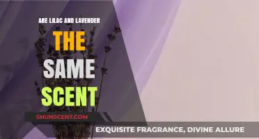 Lilac vs. Lavender: Unraveling the Scent Differences and Similarities