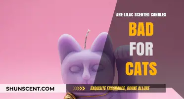 Lilac Scented Candles: Are They Safe for Your Cats?