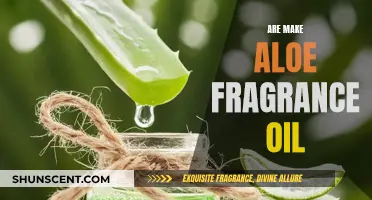 Aloe Fragrance Oil: A Sensory Experience