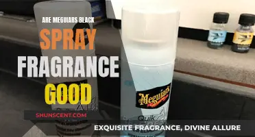 Meguiar's Black Spray Fragrance: Does It Live Up to Its Name?