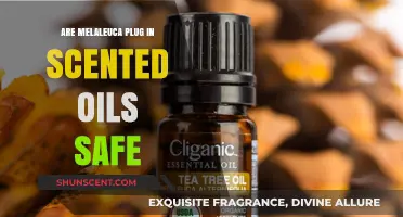 Are Melaleuca Plug-In Scented Oils Safe for Your Home?