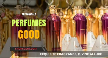 Montale Perfumes: Are They Worth the Hype?