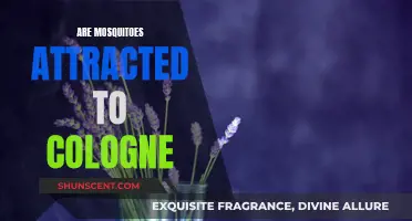 Mosquitoes and Cologne: What's the Attraction?