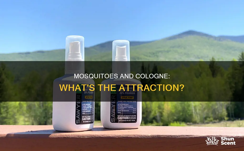 are mosquitoes attracted to cologne