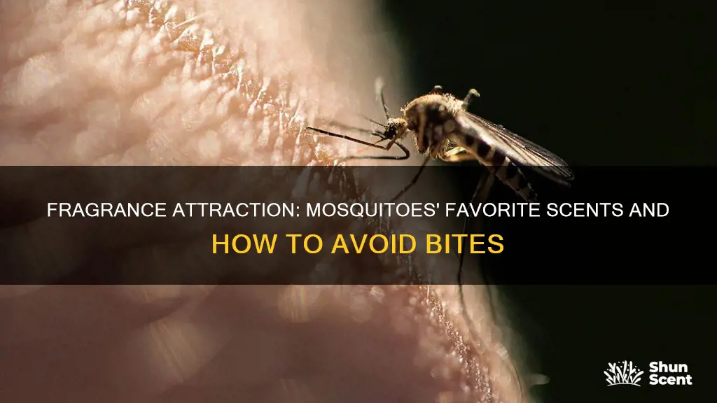 are mosquitoes attracted to fragrance