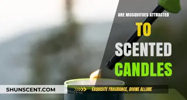 Do Scented Candles Attract Mosquitoes? Unveiling the Truth Behind the Buzz