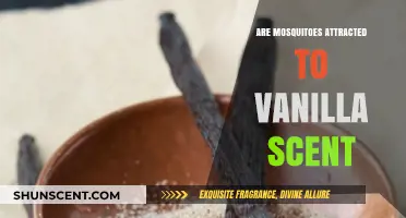 Vanilla Scent: Does It Attract Mosquitoes or Keep Them Away?