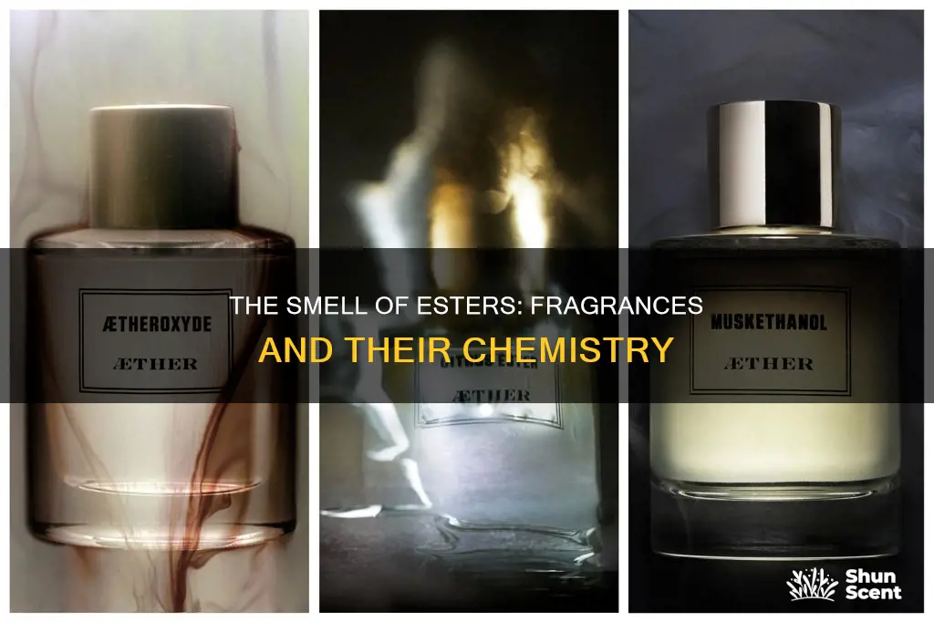 are most esters fragrances