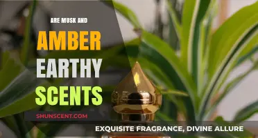 Musk and Amber: Exploring Their Earthy Aromatic Qualities and Appeal