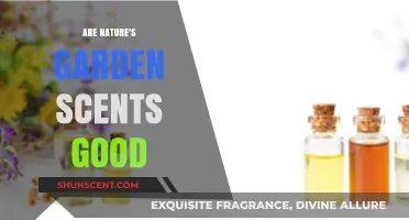 Exploring Nature's Garden Scents: Are They Truly Worth the Hype?
