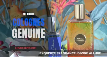 Notino Colognes: Are They the Real Deal?