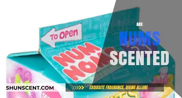 Unveiling the Truth: Do Nums Have a Scent?