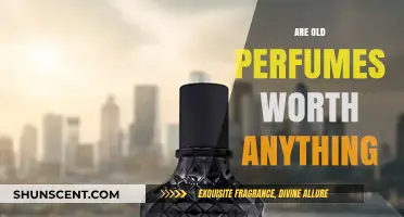 Vintage Scents: Are They Worth the Money?
