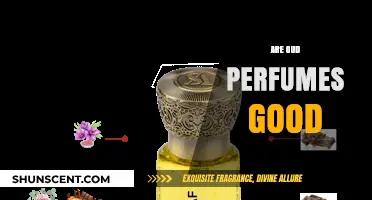 Oud Perfumes: Are They Worth the Hype?