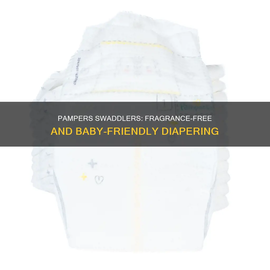 are pampers swaddlers fragrance free