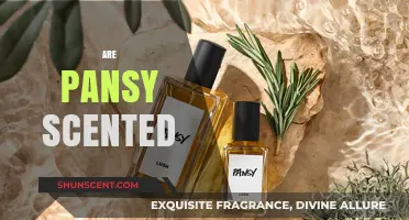 Do Pansies Have a Scent? Unveiling the Truth About Pansy Fragrance