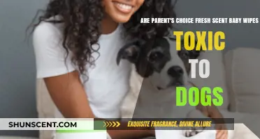 Are Parent's Choice Fresh Scent Baby Wipes Safe for Dogs?