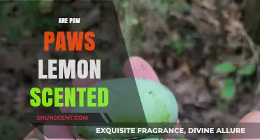 Do Paw Paws Smell Like Lemons? Unveiling the Fruit's Aroma