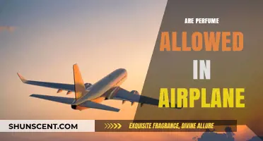 Can You Bring Perfume on a Plane?