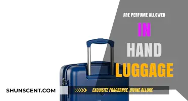 Perfumes in Hand Luggage: What's Allowed?