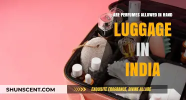 Perfumes in Hand Luggage: India's Rules Explained