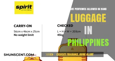 Philippine Travel Rules: Can You Carry Perfumes in Hand Luggage?