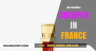Perfumes in France: Are They Cheaper?