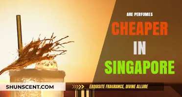 Where to Buy Perfumes: Singapore vs. Overseas