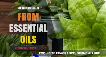 The Power of Scents: Essential Oils in Perfumes