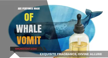The Truth About Whale Vomit in Perfumes